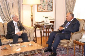 Egypt wishes to develop relations with Singapore