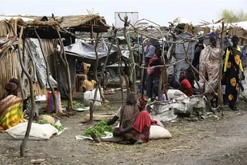 Vietnam calls for promoting dialogues, reconciliation in Sudan