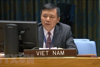 Vietnam calls on Mali to increase national conciliation, implement transition roadmap