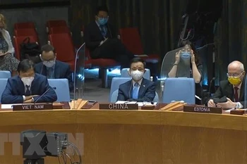 UNSC: Vietnam supports comprehensive political solution in Libya
