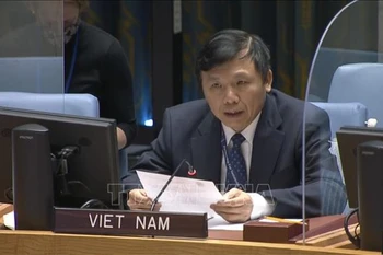 Vietnam concerned about increase in violence in Occupied Palestine Territory