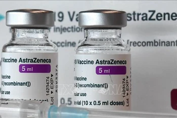 Vietnam receives over 500,000 doses of COVID-19 vaccine from Poland