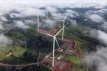 Dak Nong: Two wind power projects connected to national grid