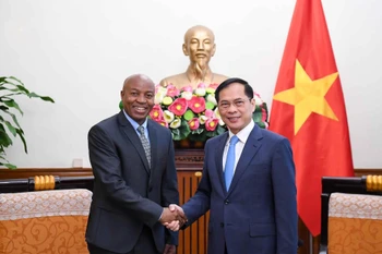 Deputy Prime Minister and Foreign Minister Bui Thanh Son (R) receives Tanzania's Deputy Minister of Foreign Affairs and East African Cooperation Cosato David Chumi in Hanoi on December 3. (Photo: VNA)