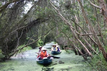 Illustrative image (Photo: VNA)