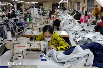 Workers make garment products for export in a company in the northern province of Ha Nam. (Photo: VNA)