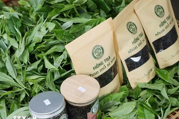 Tea products of Lai Chau (Photo: VNA)