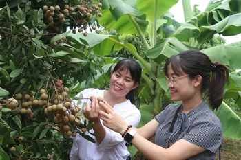 Hung Yen sees potential in rural tourism