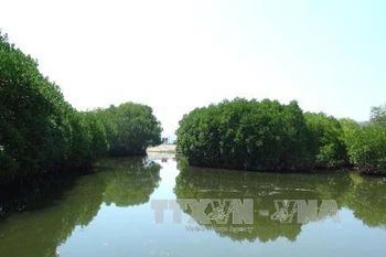 Vietnam aims to implement Nagoya protocol on sharing genetic resources