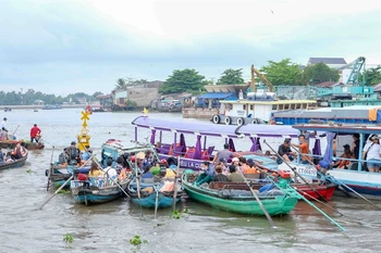 Can Tho seeks to develop agricultural tourism