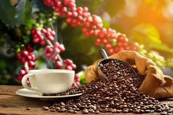 Vietnam posts 78.9% growth in coffee export value to Spain