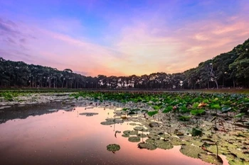 Two more typical tourism sites in Mekong Delta recognised