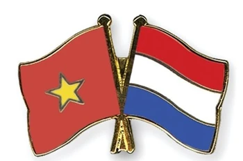 Vietnamese students in Netherlands hailed as bridge for bilateral ties