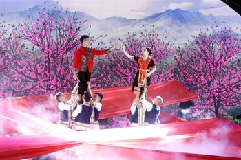 Lang Son province launches peach blossom festival to welcome Tet