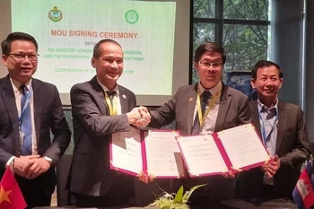 Vietnam, Cambodia boost forestry cooperation (Photo: VNA)