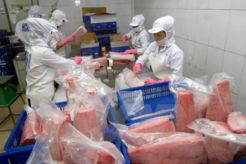 Belarus, Kyrgyzstan ratify EAEU – Vietnam trade deal