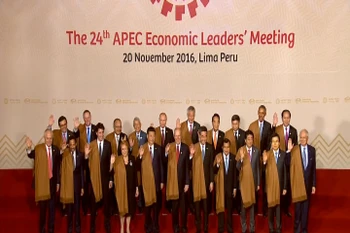 President highlights Vietnam’s contributions to APEC