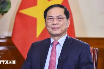 Minister of Foreign Affairs Bui Thanh Son (Photo: VNA)