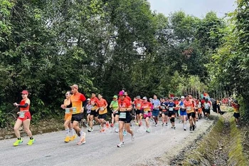 Nearly 2,400 runners join in Quang Binh Discovery Marathon 2024