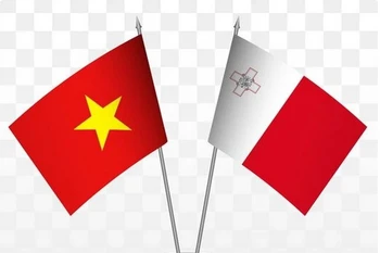 Similarities, common interests help develop Malta-Vietnam relations: Ambassador