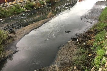 Two companies in Hung Yen suspended over pollution