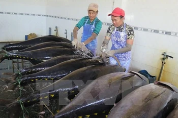 Greece increases imports of Vietnamese tuna 