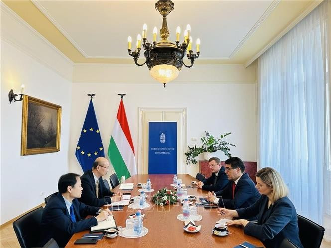 Vietnamese Ambassador to Hungary Bui Le Thai has a meeting with Barna Pal Zsigmond, Deputy Minister and Parliamentary State Secretary at the Ministry of European Union Affairs of Hungary. (Photo: VNA)