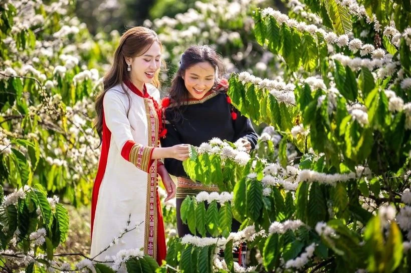 Two media ambassadors of the 9th Buon Ma Thuot Coffee Festival, Miss Universe Vietnam 2017 and Top 5 finalist at Miss Universe 2018, H’Hen Niê (right), and Miss Vietnam Tourism Ambassador 2024 Dinh Thi Hoa. (Photo courtesy of the festival organiser).