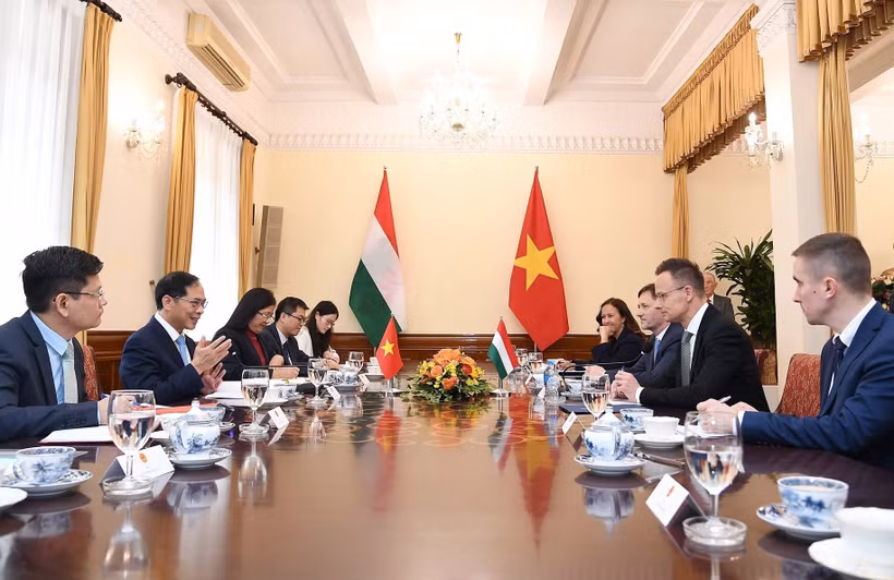 Deputy Prime Minister and Minister of Foreign Affairs Bui Thanh Son (second, left) holds talks with Hungarian Minister of Foreign Affairs and Trade Szijjarto Peter. (Photo: VNA)