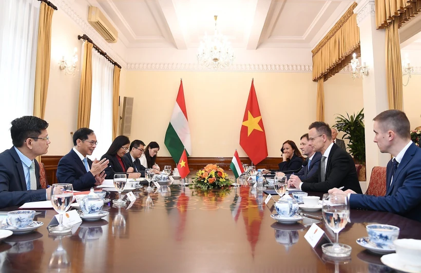 Deputy Prime Minister and Minister of Foreign Affairs Bui Thanh Son (second, left) holds talks with Hungarian Minister of Foreign Affairs and Trade Szijjarto Peter. (Photo: VNA)