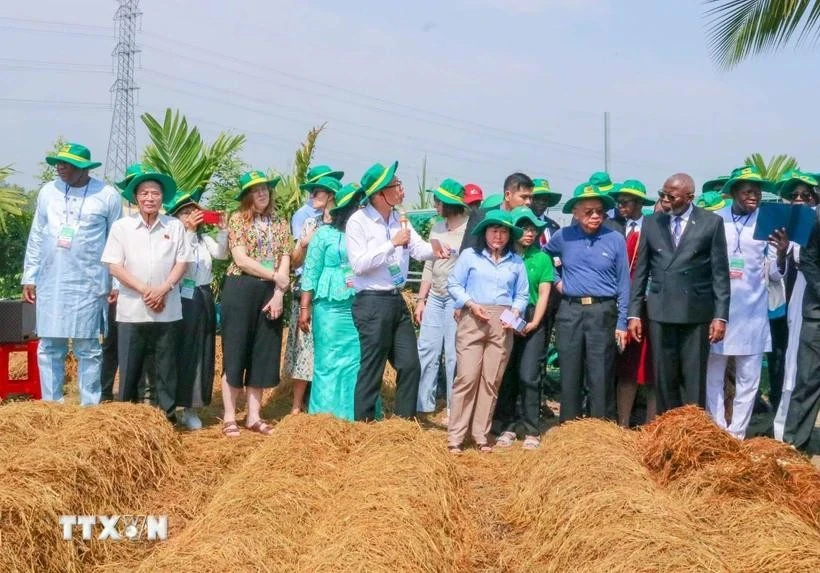 Delegates visit New Green Farm, Thot Not district, Can Tho (Photo: VNA)