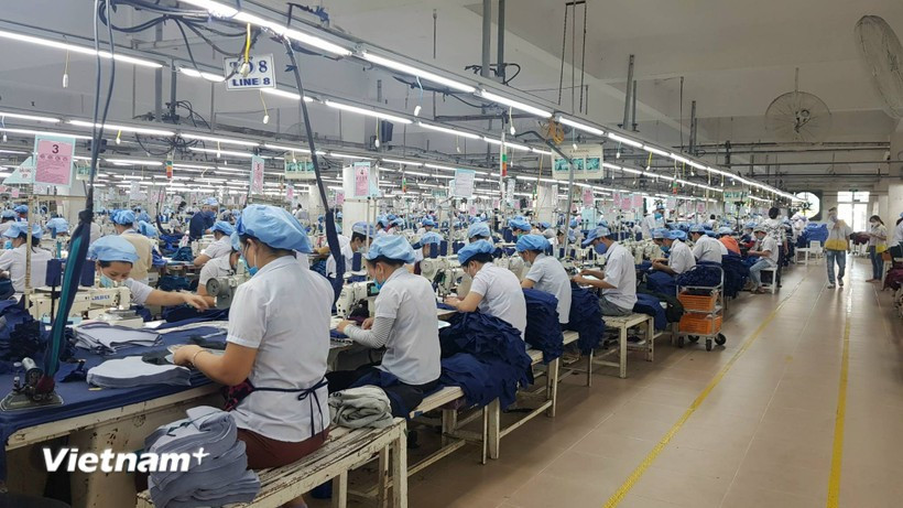 Vietnamese businesses confident of expanding globally over the next two years (Photo: VietnamPlus)