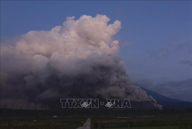 Indonesia's Semeru Volcano erupts seven times on March 17 morning, throwing ash to 1,000 metres. (Photo: VNA) 