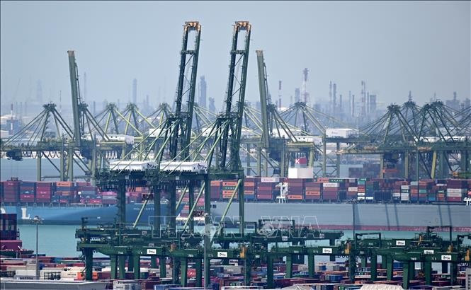 Cargo handling at Pasir Panjang Port in Singapore. (Photo: AFP/VNA) 