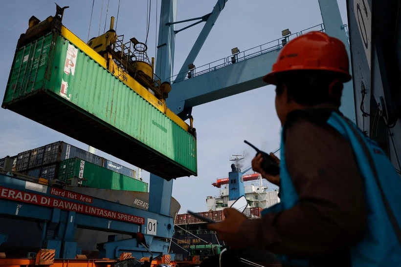 A container is unloaded from a ship onto a truck at Tanjung Priok Port in Jakarta, Indonesia, Feb 12, 2025. (Photo: chinadailyhk.com 