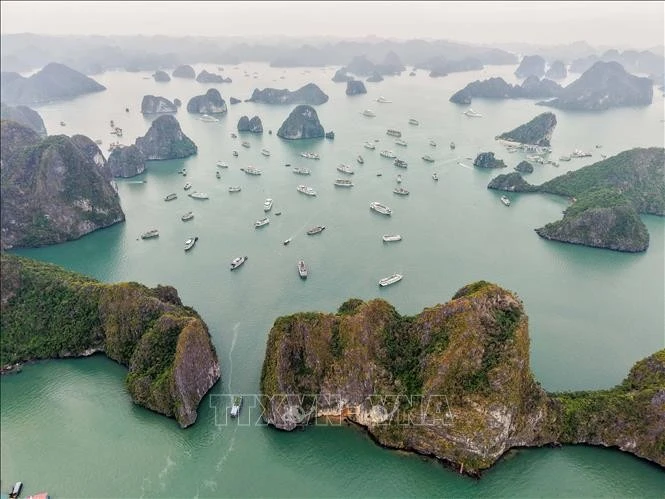 The beauty of Ha Long Bay lures foreign visitors (Photo: VNA)