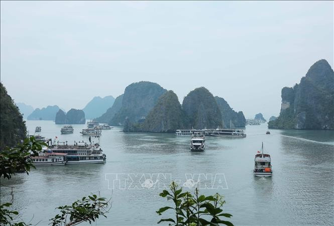 Ha Long Climate 2025 art programme will run from Feb to Jun 2025 (Photo: VNA)