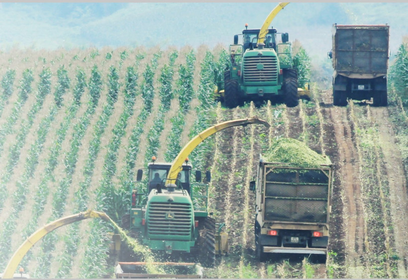 Exploring TH True Milk’s green journey: where nature meets innovation