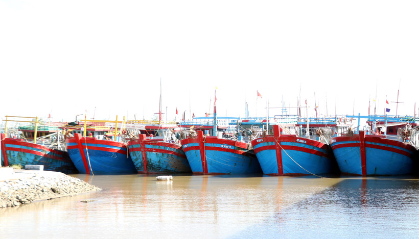 Ninh Binh steps up IUU fishing control, targets unregistered vessels. (Photo: VNA)