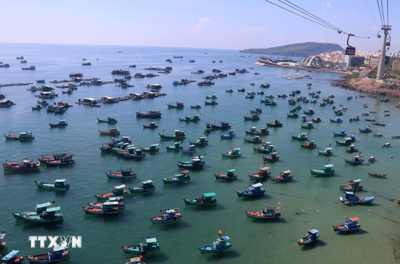 Over 28,000 fishing vessels nationwide now fitted with VMS, covering more than 99% of those mandated. (Photo: VietnamPlus)