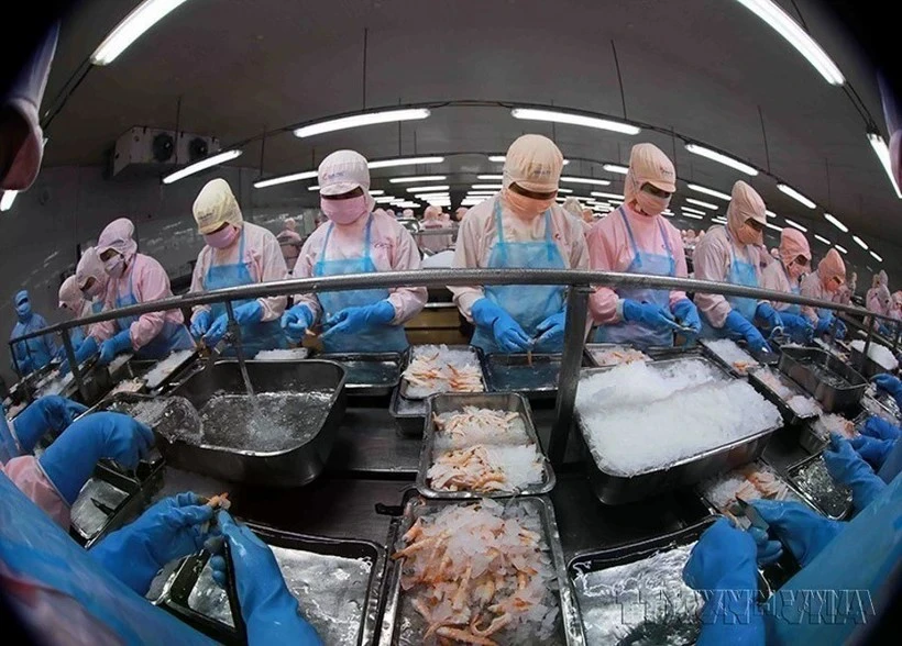 Vietnam secures top five spot in Singapore's seafood market (Photo: VNA)