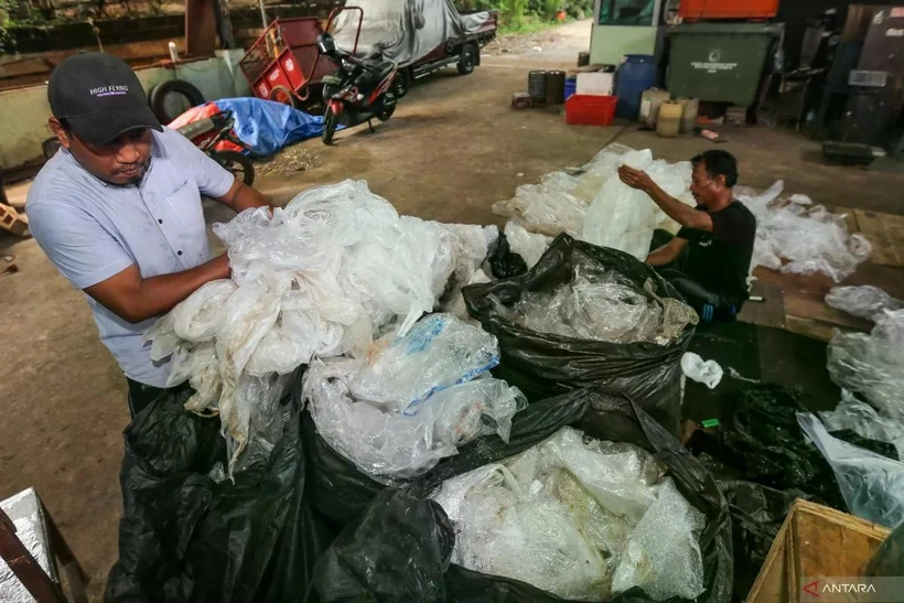  Workers sort plastic waste to be recycled at Waste Treatment Site (TPS) 04 Bambu Apus in Jakarta, January 7, 2025. (Photo: ANTARA) 