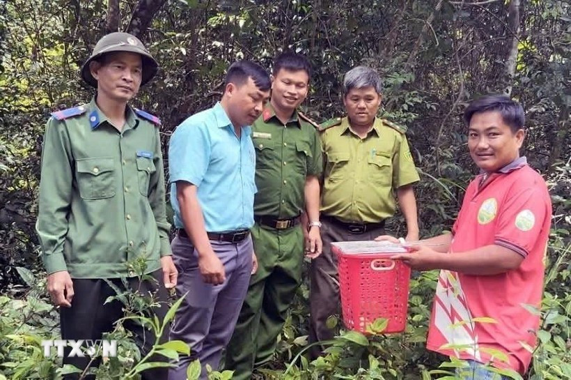 Rescued wildlife returned to the wild in Lam Dong (Photo: VNA)