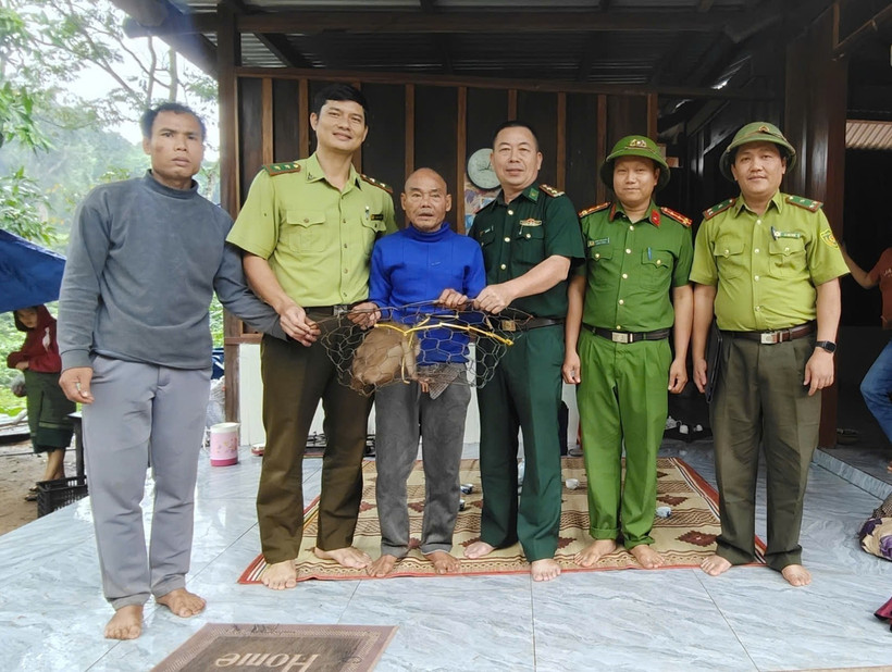 Endangered pig-tailed macaque handed over to authorities in Quang Tri (Photo: VNA)