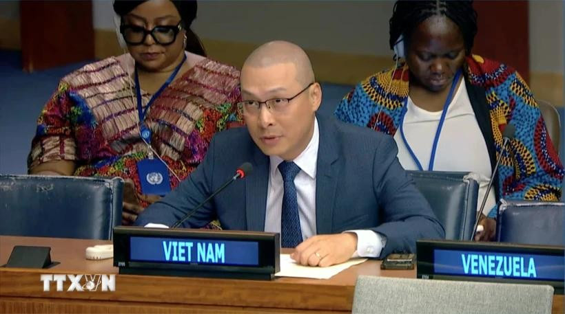 Nguyen Hoang Nguyen, Minister Counselor and Deputy Permanent Representative to the UN (Photo: VNA)