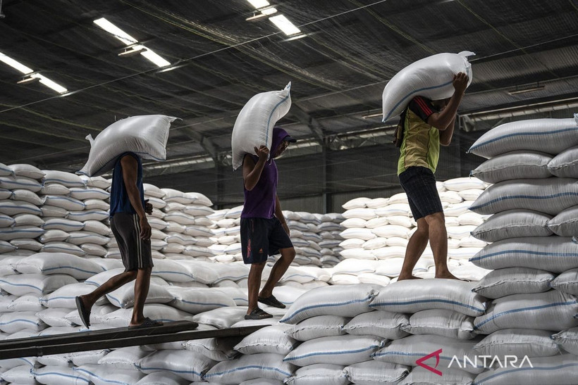 Workers carry sacks of rice at a Bulog warehouse in Semarang, Central Java. (Photo: ANTARA) 
