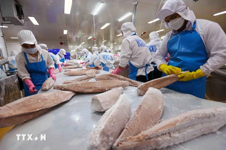 Shrimp processing line for export (Photo: VNA)