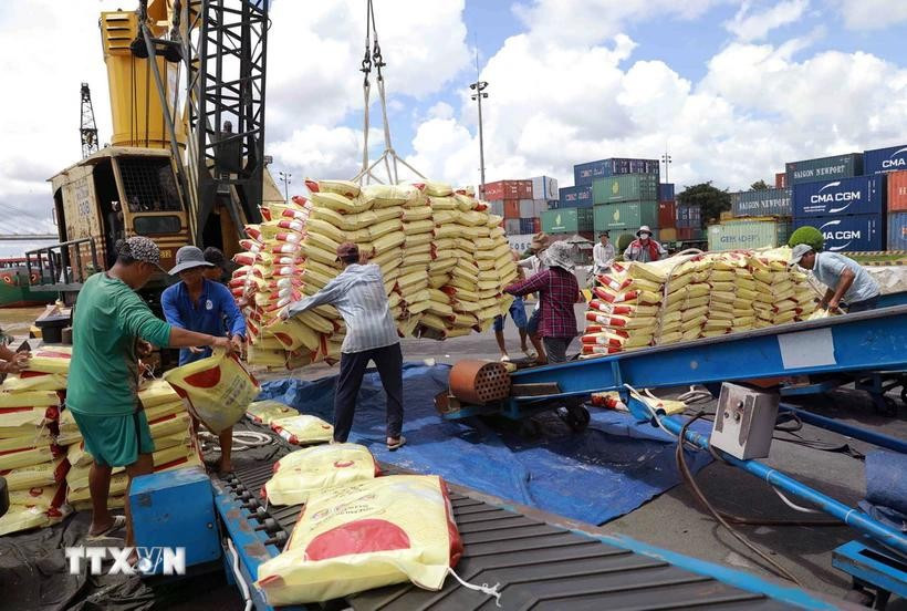 Vietnam's rice exports reached 268,700 tonnes between January 1 and 15. (Photo: VNA)