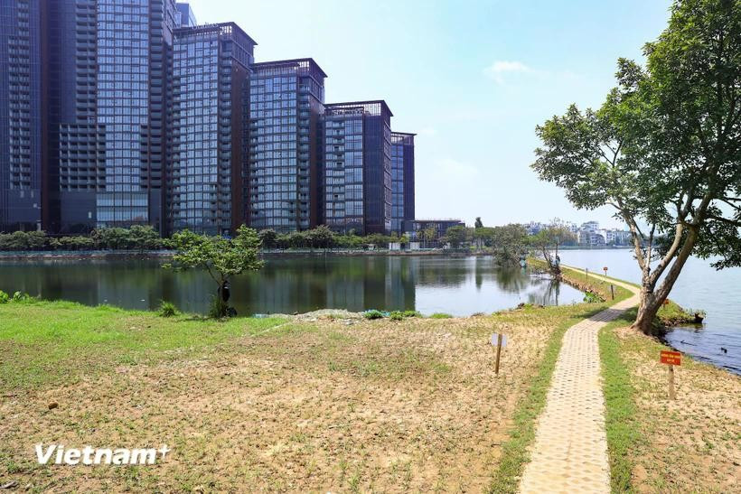 Illustrative Image (Photo: VNA)