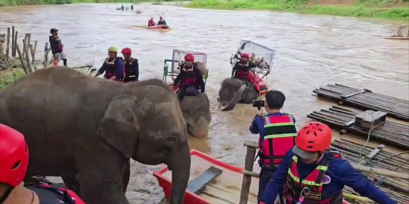 Elephants join flood rescue drill in northern Thailand (Photo: myanmaritv.com)